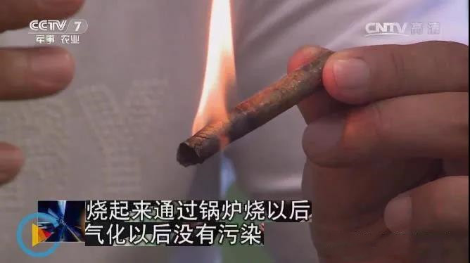 生物質(zhì)能源將來(lái)的能源主力，不應(yīng)該隨意燃燒秸稈