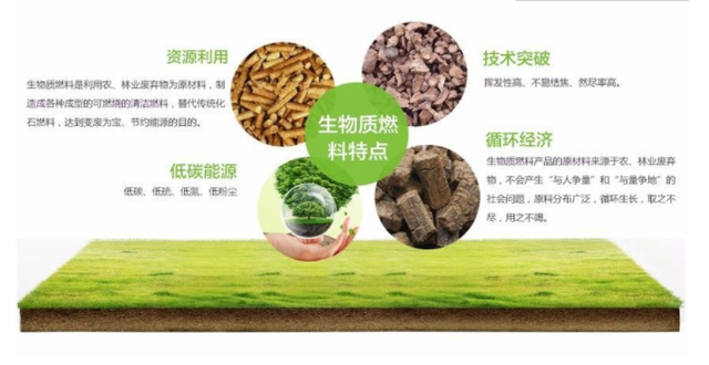 為何說“生物質(zhì)能”，是人類未來發(fā)展的重要能源？（二）