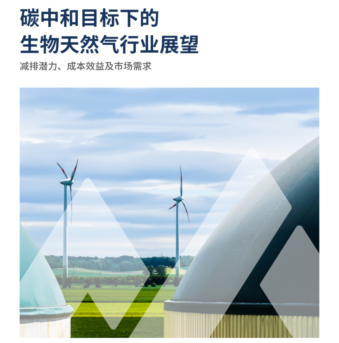 因地制宜推進生物質(zhì)能產(chǎn)業(yè)集群發(fā)展（二）